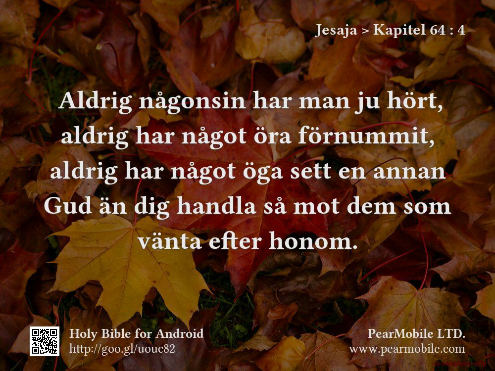 Jesaja, Kapitel 64:4